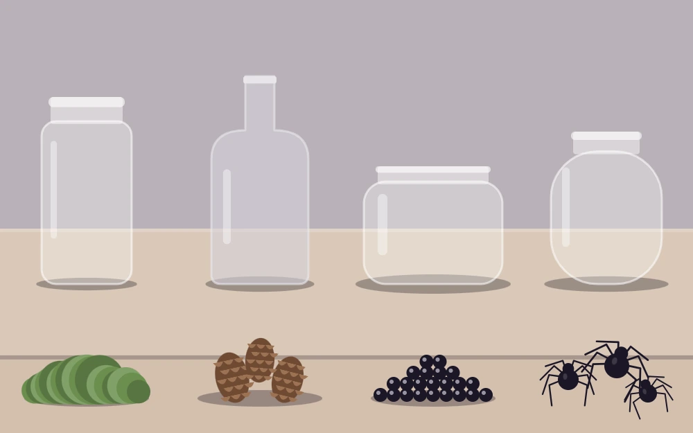 Empty jars in four shapes beside small piles of moss, pinecones, black beads and plastic spiders